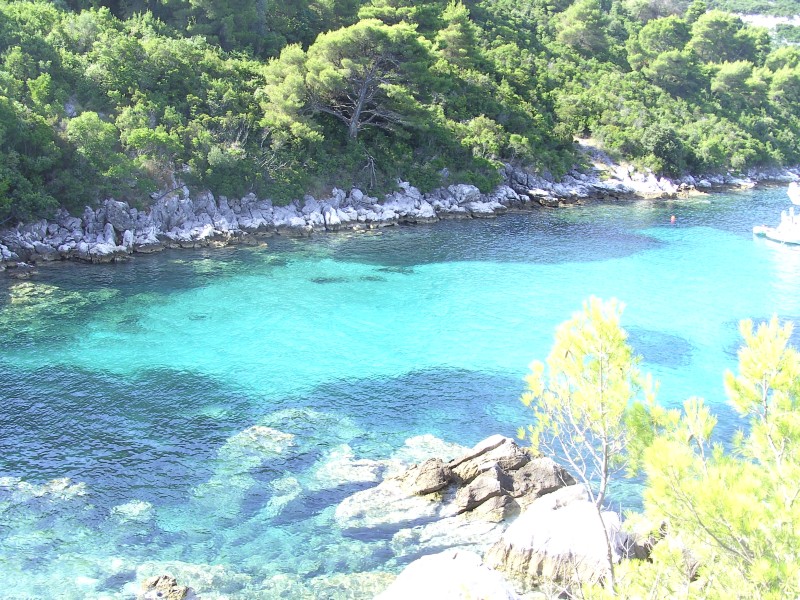 Mljet