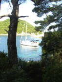 Mljet