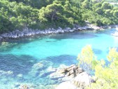 Mljet